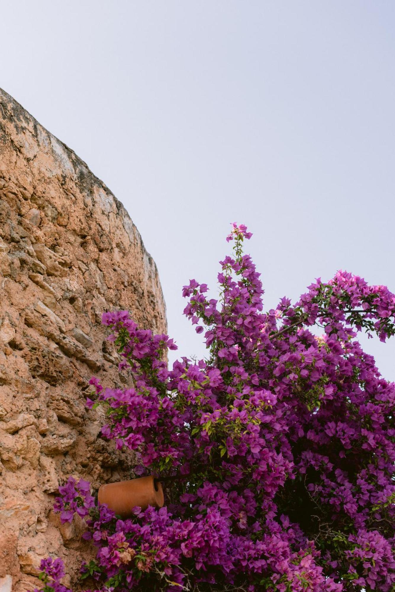 Can Quince Balafia Ibiza Hotel - Turismo De Interior Sant Llorenc de Balafia Zewnętrze zdjęcie