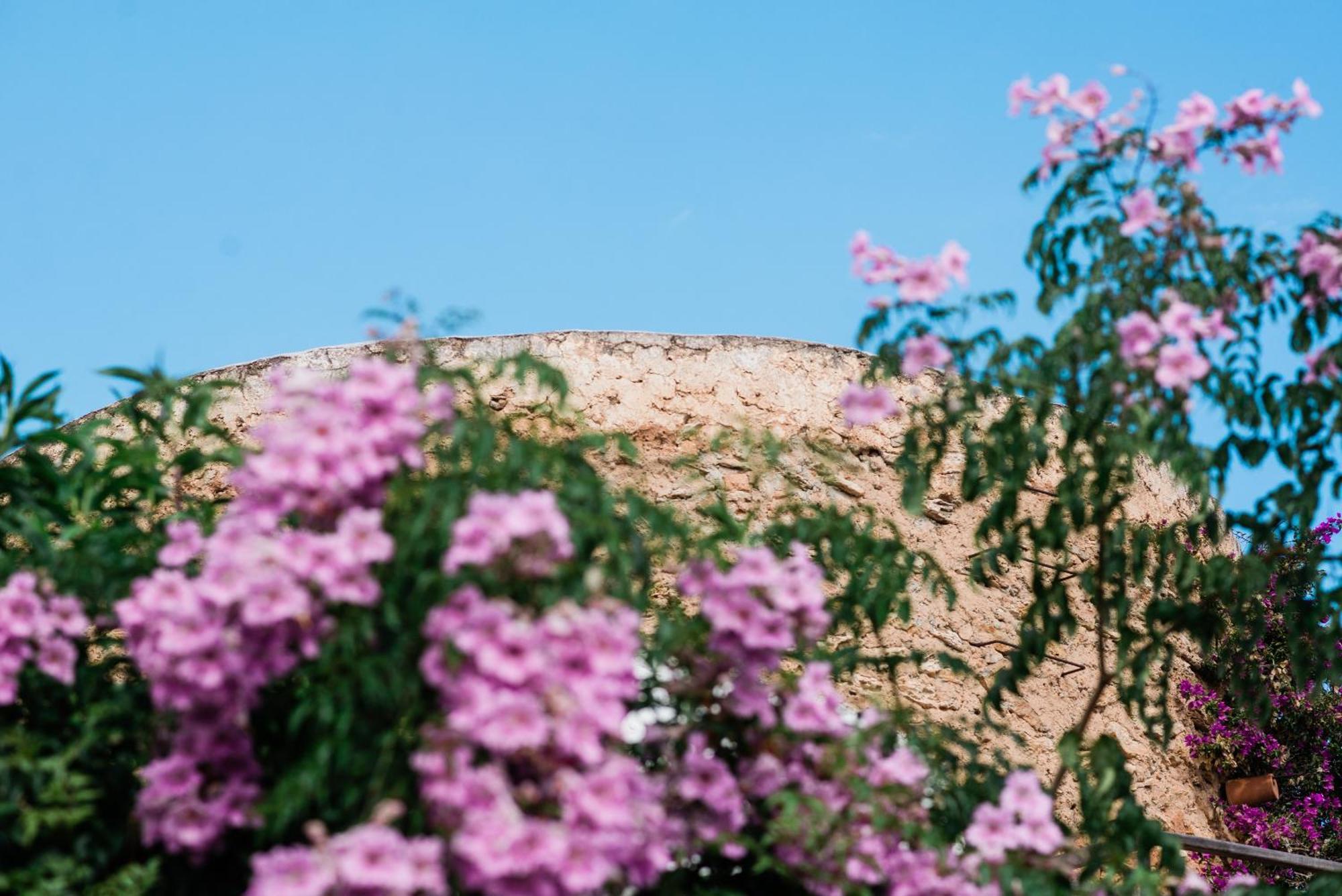 Can Quince Balafia Ibiza Hotel - Turismo De Interior Sant Llorenc de Balafia Zewnętrze zdjęcie