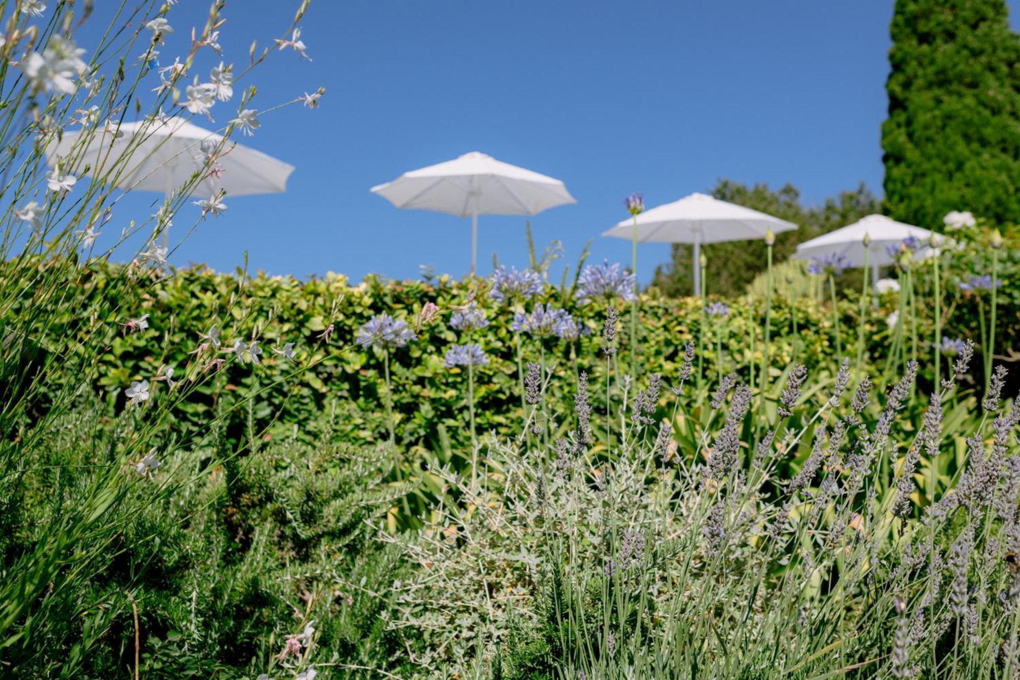 Can Quince Balafia Ibiza Hotel - Turismo De Interior Sant Llorenc de Balafia Zewnętrze zdjęcie